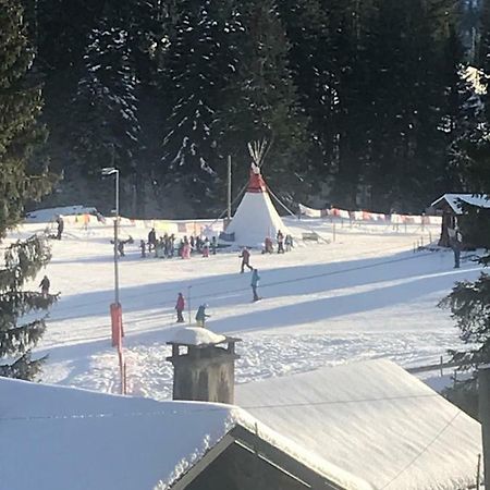Route Des Joncs 300 Appartemen Les Paccots 外观 照片