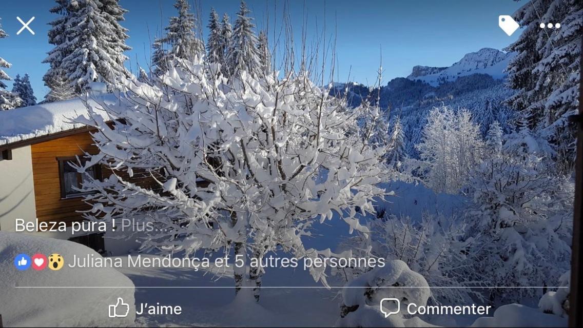 Route Des Joncs 300 Appartemen Les Paccots 外观 照片